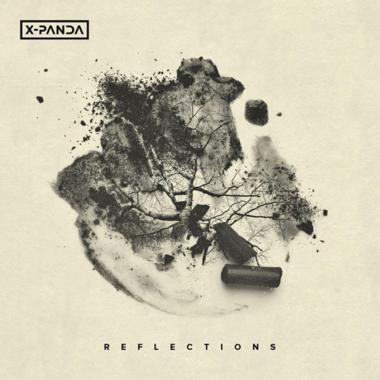 X Panda -  Reflections